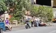 Pohon Tumbang Timpa Pengendara Motor di Jalan Gajah Raya Semarang, Diduga Tersenggol Truk