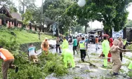 Belasan Pohon Tumbang Akibat Angin Kencang di Salatiga, Kapolres Pimpin Langsung Evakuasi