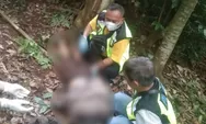 Sedang Panen Jengkol, Pria di Semarang Tewas Jatuh dari Pohon Setinggi 7 Meter