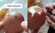 Duh! Viral Telur Rebus MBG di Magetan Masih Berlumur Kotoran Ayam, Bupati Nanik Sumantri: Segera Ditindaklanjuti