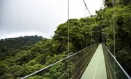 Jembatan Gantung Setinggi 121 Meter di Jabar Ini Jadi Tempat Uji Adrenalin, Terpanjang se-Asia Tenggara!
