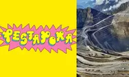 Reaksi Publik dan Panitia Soal Skandal Pestapora 2025 yang Disponsori PT. Freeport Indonesia