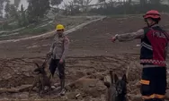 Usai Longsor Melanda Bandung Barat, Dedi Mulyadi Sesalkan Daerah yang Idealnya Berisi Pohon Berubah Jadi Kebun Bunga