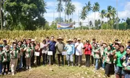 Wawali Manado Hadiri Panen Jagung di Mapanget, Tegaskan Komitmen Pemkot Dukung Petani