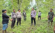 Polsek Kabaruan dan Warga Terjang Medan Berat Hutan Laru Cari Lansia 79 Tahun yang Hilang