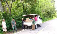 Babinsa Koramil 04/Rainis, Sertu Samuel Bawalah Turun Tangan Bantu Warga Angkut Hasil Kebun