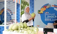Dukung Ekonomi Rakyat, BRI Salurkan KUR Rp178,08 Triliun Sepanjang 2025, Sektor Pertanian Jadi Primadona
