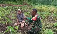 Aksi Nyata Babinsa Beo Talaud : Turun ke Kebun, Bantu Warga Olah Lahan Ubi Talas
