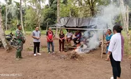 Perkuat Ketahanan Pangan di Wilayah Babinsa Dampingi Warga Tani Panen Padi Ladang