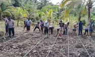 Aksi Nyata Kapolsek Andika Amisi: Kawal Ketahanan Pangan dari Lahan Taduna Mangaran Talaud