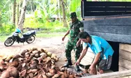 Bersama Warga Binaan, Babinsa Koramil 06/Nanusa Komsos Bersama Petani Kopra