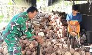 Bantu warga buat kopra, Babinsa Laksanakan Giat Komsos