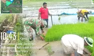 Dukung Ketahanan Pangan, TNI AD Hadir di Tengah Petani Talaud
