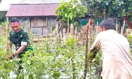 Koramil 1312-05/Essang Memotivasi Masyarakat Manfaatkan Lahan Pekarangan