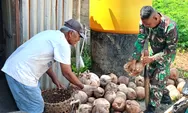 Babinsa Koramil-07/Miangas. Serka Jainudin Bantu Warga Olah Kelapa Menjadi Kopra