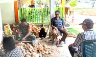 Babinsa Koramil-04/Rainis Praka Ozem Lasa Komsos Dengan Lansia Di Wilayah Binaannya, Sembari Bantu Pengolahan Kelapa