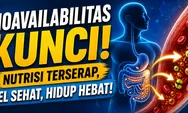 Bioavailabilitas: Kunci Efektivitas Nutrisi, Ini Kaitannya dengan Fit Solution