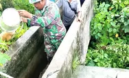 Babinsa Desa Ambela Sertu Markus Ratunguri melaksanakan kegiatan kerja bakti bersama para petani padi sawah di Desa Ambela dalam rangka perehapan salu