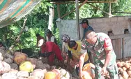 Menjadi Contoh Dalam Tiap Tindakanya Babinsa Bantu Warga Olah Hasil Kebun Kelapa