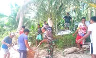 Jadi Solusi, Babinsa Ikut Kerja Bakti Bantu Warga Di Desa Binaan