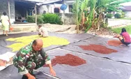 Dukung Peningkatan Ekonomi Masyarakat, Babinsa Serka Andris Porobaten Bantu Warga Jemur Cengki