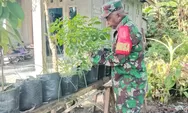 Babinsa Desa Tule Sertu Yerobeam Dorong Pemanfaatan Pekarangan Rumah, Ajak Warga Tanam Cabai untuk Kemandirian Pangan