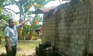Angin Kencang Landa Essang Selatan: Pohon Kelapa Timpa Dapur Warga, Kapolsek Ipda Sumendap Sasoloa Imbau Warga Tebang Pohon Rawan
