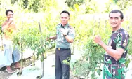 Beri Motivasi Koramil 05/Essang Dukung Pemanfaatan Lahan Untuk Han Panga