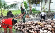 Babinsa Desa Miangas Bantu Warga Kupas Kelapa untuk dijadikan Kopra