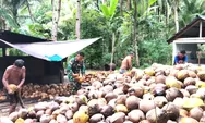 Babinsa Komsos Dengan Masyarakat Petani Kelapa Di Desa Karatung