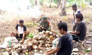 Dukung Peningkatan Ekonomi Warga, Babinsa Turun Tangan Dampingi Petani Kelapa Olah Kopra di Desa Pantuge
