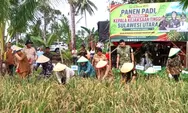Bukan Cuma Tegakkan Hukum, Kajati Sulut Ikut Turun ke Sawah Talaud Tanam 'Harapan'