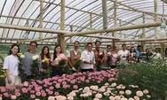 Dukung Kemandirian Petani Bunga Krisan, PLN UID Suluttenggo Resmikan Program Electrifying Agriculture di Tomohon