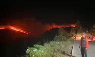 Kebakaran Landa Kawasan Hutan Lindung Gunung Soputan di Minahasa Tenggara