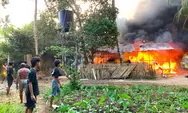 Si Jago Merah Laap Gudang Bowonnaci: Angin Kencang dan Bahan Mudah Terbakar Perparah Kerugian Ratusan Juta Rupiah