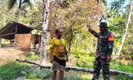 Babinsa Koramil 1312-01/Kabaruan Tinjau Perkebunan Warga Desa Birang,Imbau Kewaspadaan Kebakaran di Tengah Kemarau Panjang