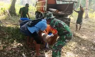 Sinergi TNI dan Warga, Babinsa Koramil 1312-01/Kabaruan Gotong Royong Angkut Batang Kelapa untuk Pembangunan Jembatan Darurat