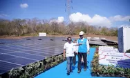 PLN Siap Optimalkan Energi Surya, PLTS 100 GWp Dorong Efisiensi dan Penguatan Energi Domestik