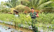 Dukung Ketahanan Pangan, Babinsa Koramil 1312-05/Essang Bantu Petani Cabai di Wilayah Binaan