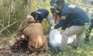 Warga Sukabumi Digegerkan Penemuan Kerangka Manusia di Kebun Jati Sagaranten