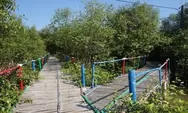 Eksplorasi Keindahan Alam di Bekasi: Ekowisata Hutan Mangrove Pantai Mekar