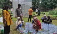 Lahan Sempit Bukan Lagi Hambatan, Hidroponik Sistem Sumbu Dorong Warga Kota Panen Sayur dari Pekarangan Rumah