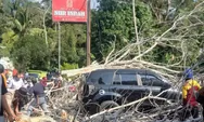Detik-detik Poros Enrekang–Makassar Tertutup Pohon Tumbang, SUV Rusak dan Kendaraan Mengular