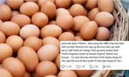 Viral Peternak Bongkar Dugaan Permintaan Telur Tak Layak dan Markup Nota Dapur MBG