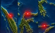 Indonesia Dikepung Gempa: Korban Tewas M7,7 NTT Capai 51 Orang, Dua Gempa Kuat Turut Guncang Sumut dan Sulteng