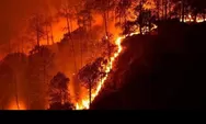 Karhutla Kaltim Meluas, 936 Hektare Hutan dan Lahan Terbakar di 413 Titik