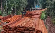 60 M³ Kayu Ditemukan di SM Kerumutan, 6 Orang Jadi Tersangka Pembalakan Liar