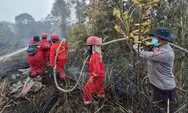 Kemenhut Bekukan Izin Satu Perusahaan, Enam PBPH Disanksi Gegara Karhutla 1.511 Hektare