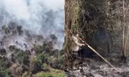 37 Perkara Karhutla di Riau Seret 40 Tersangka, Polisi Telisik Motif Pembukaan Lahan hingga Kelalaian
