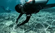 CSR BRI Menanam Jaga Ekosistem Laut Kapoposang Lewat Transplantasi Karang